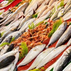 Il vero sushi? Mangialo al mercato del pesce di Tokyo